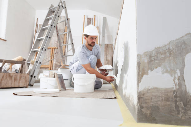 Best Post-Construction Mold Inspection  in New Castle Northwest, PA