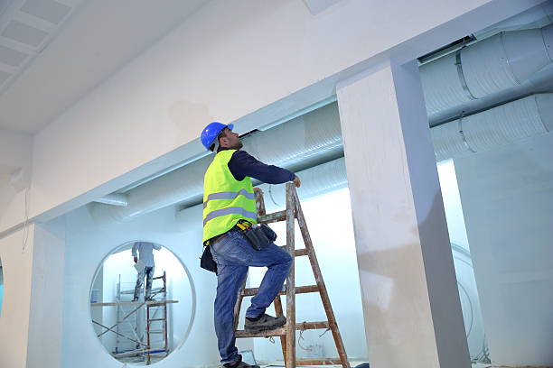 Professional Mold Removal in New Castle Northwest, PA